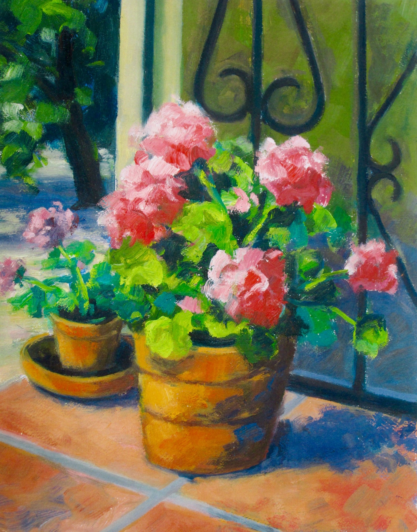 Geraniums