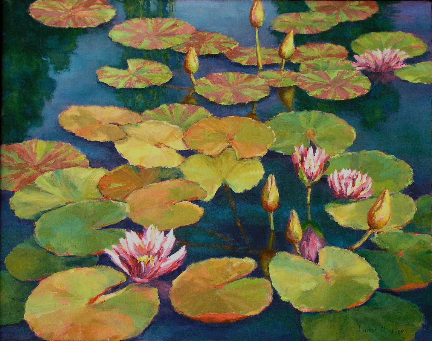 Lily Pond