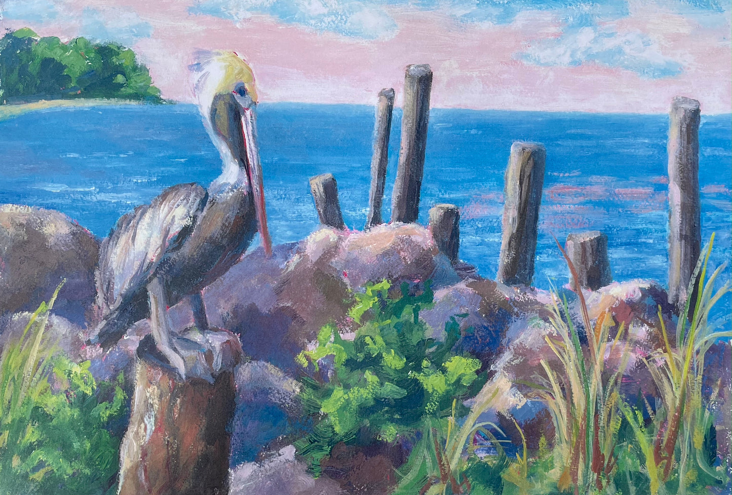 Pelican